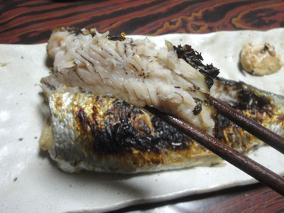 今年も小樽産ニシンの塩焼き 小樽で家庭料理