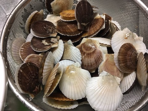 ホタテの稚貝の炊き込みご飯1